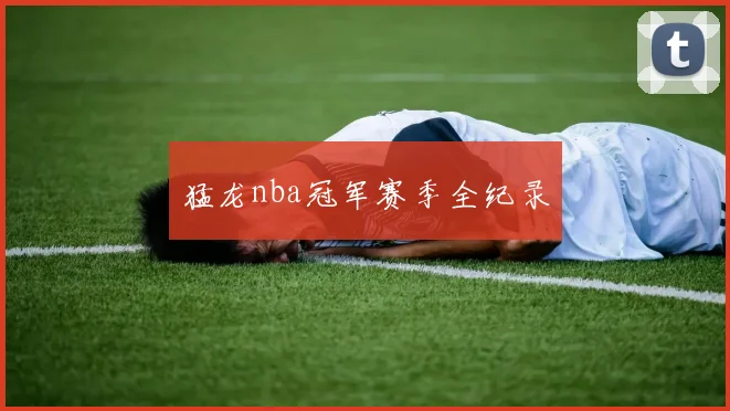 猛龙nba冠军赛季全纪录
