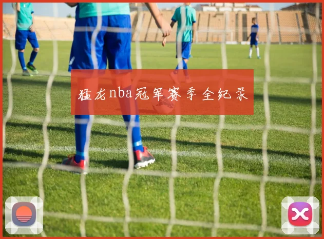 猛龙nba冠军赛季全纪录