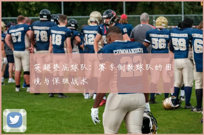 英超垫底球队：赛季倒数球队的困境与保级战术